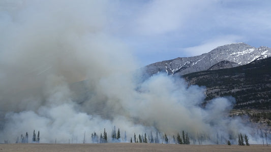 Is Wildfire Smoke Damaging Your Skin?