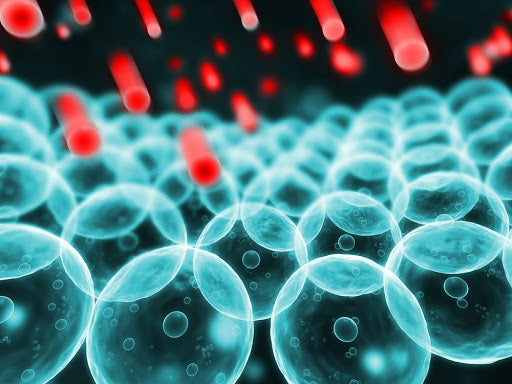 What are Free Radicals?